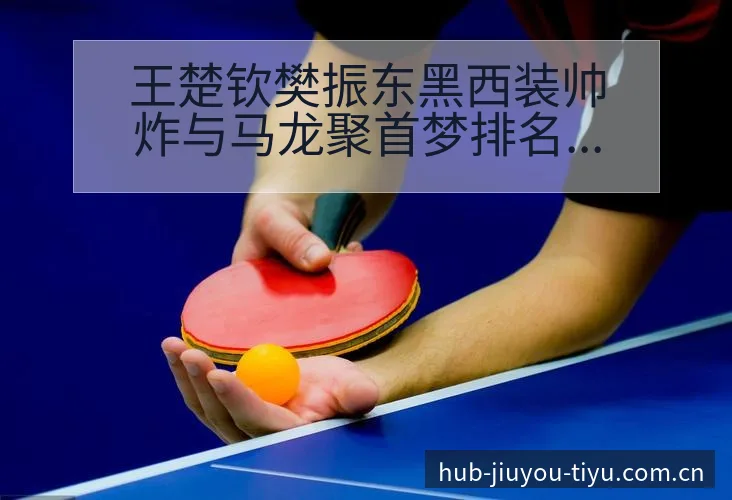 王楚钦樊振东黑西装帅炸与马龙聚首梦排名变化阵容影响深度解 - 九游体育APP